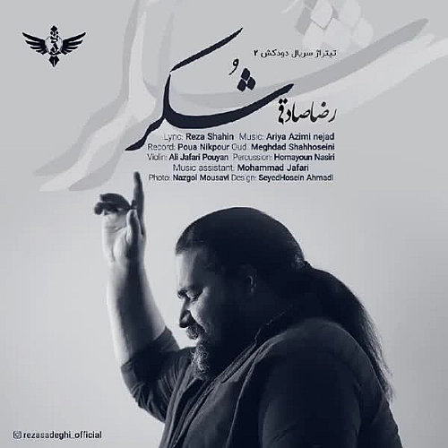 Cover artwork for Shokr by Reza Sadeghi